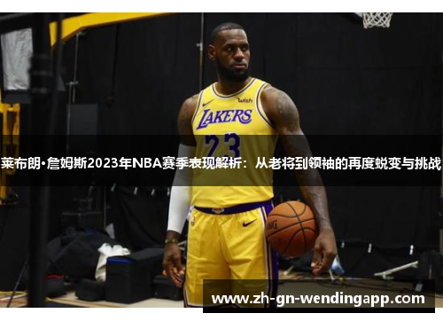 莱布朗·詹姆斯2023年NBA赛季表现解析：从老将到领袖的再度蜕变与挑战