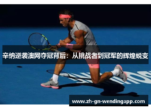 辛纳逆袭澳网夺冠背后：从挑战者到冠军的辉煌蜕变