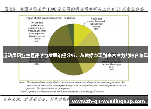 运动员职业生涯评估与发展路径分析：从数据表现到未来潜力的综合考量