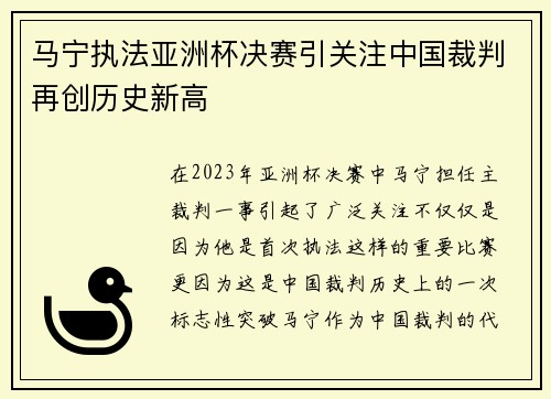 马宁执法亚洲杯决赛引关注中国裁判再创历史新高